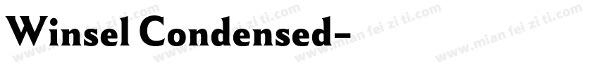 Winsel Condensed字体转换